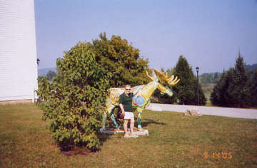 Moose at Bennington Center for the Arts. Photo by Tom Keating, September 14, 2005